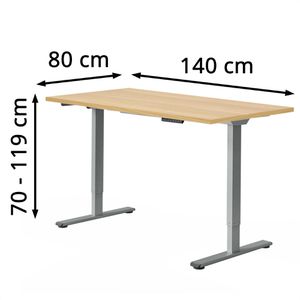 Produktbild für Schreibtisch FlexiSpot E1S Pro, ahorn / grau