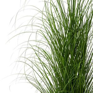 Produktbild für Kunstpflanze Creativ-green Grasbusch