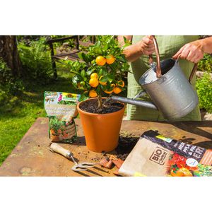 Produktbild für Blumenerde Neudorff NeudoHum Zitruspflanzenerde