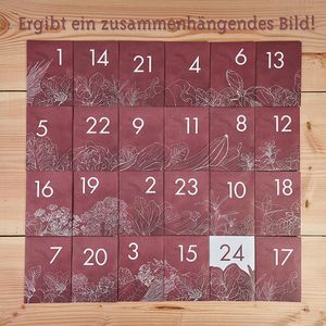 Produktbild für Adventskalender OwnGrown BEGR-300238, Saatgut