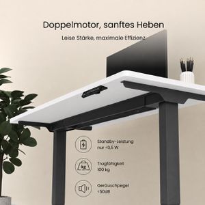 Produktbild für Schreibtisch FlexiSpot E5B, weiß / schwarz