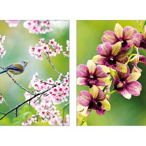 Produktbild für Grußkarten Böttcher-AG 99sk6695, Blumen sortiert