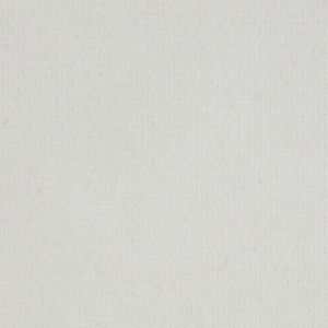 Produktbild für Handtuchrollen Scott Essential XL, 6687