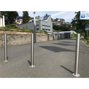 Produktbild für Absperrpfosten Schake 4062P, silber, aus Edelstahl