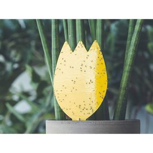 Produktbild für Gelbtafeln Substral Naturen, Set, zum Hängen und Stecken