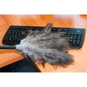 Produktbild für Staubwedel Maximex Straußenstaubwedel