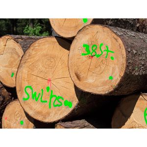 Produktbild für Markierungsspray Stanger Forst-Markierer, grün