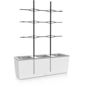 Produktbild für Rankgitter Lechuza 15011, schwarz, zum Stecken