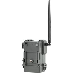 Produktbild für Wildkamera Spypoint FLEX-DARK LTE 4G