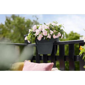 Produktbild für Blumenkasten elho Vibia Campana Flower Bridge 40cm, anthrazit