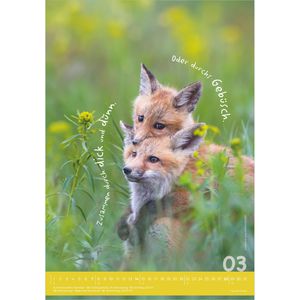 Produktbild für Bildkalender Alpha 117801, Tierisch Cool!, Jahr 2027