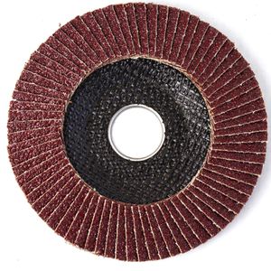 Produktbild für Fächerschleifscheibe S&amp;R 137.115.020, Set