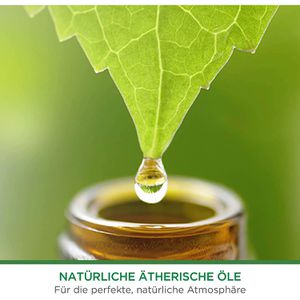 Produktbild für Raumduft Airwick Freshmatic Max, Pure, 2x 250 ml