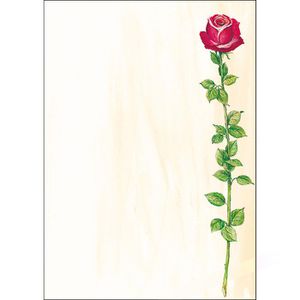 Briefpapier Sigel DP695, Rose Bloom, A4