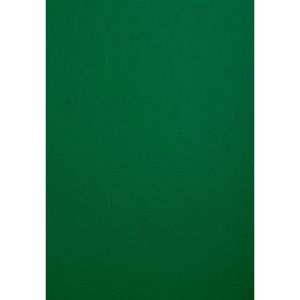Produktbild für Deckblätter Exacompta Forever 2798c, A4