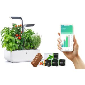 Anzuchtkasten Veritable Connect Grey, 33x18,5x45cm