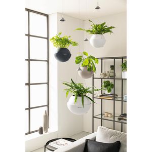 Produktbild für Blumenampel Lechuza BOLA Color 23 sandbraun