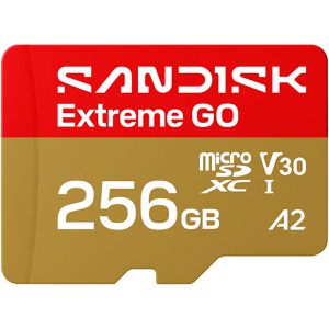 Produktbild für Micro-SD-Karte SanDisk Extreme Go, 256GB