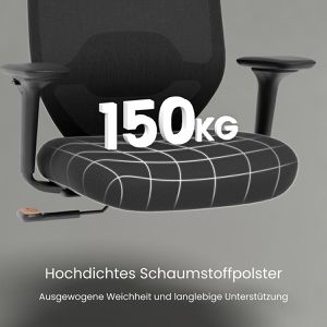 Produktbild für Bürostuhl FlexiSpot C5B-PRO