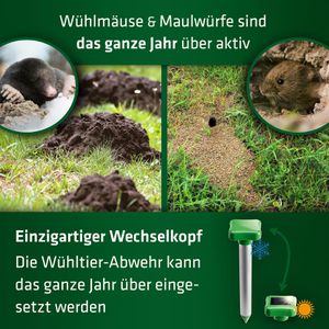 Produktbild für Tiervertreiber Gardigo Wühltier-Abwehr 4 Jahreszeiten, Solar