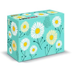 Faltkartons DeutschePost PACKSET Sommer, Gr. S
