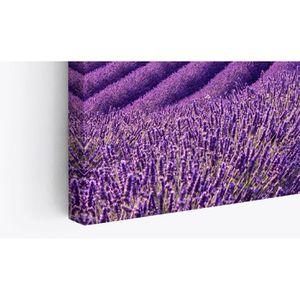 Produktbild für Wandbild Sinus-Art Lavendelfeld