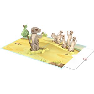 Produktbild für Grußkarten papercrush 3D Abschied Machs Gut