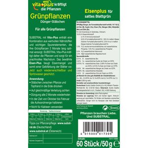Produktbild für Dünger Substral Dünger-Stäbchen für Grünpflanzen