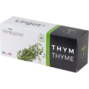 Saatpad Veritable Lingot, Thymian