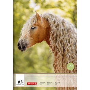 Produktbild für Zeichenblock Brunnen 104734509, A3