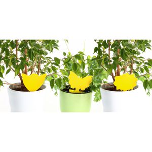 Produktbild für Gelbtafeln Böttcher-AG Premium Gelbsticker 8x13cm, zum Stecken