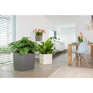 Produktbild für Übertopf Lechuza CUBE 50, anthrazit metallic, 49 x 50 x 49 cm