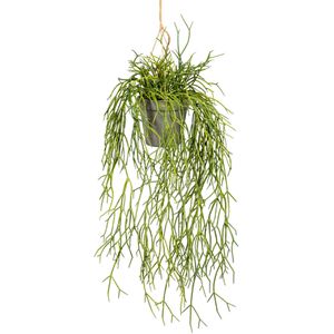 Produktbild für Kunstpflanze Creativ-green Rhipsalishänger