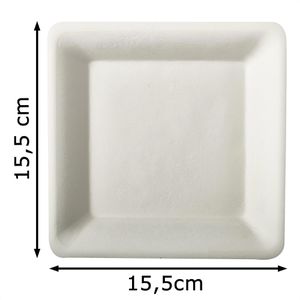 Produktbild für Einwegteller Papstar 89743 pure, Zuckerrohr