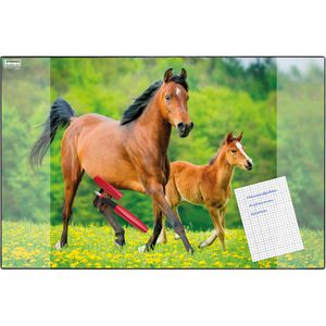Produktbild für Schreibunterlage Idena 10454, mehrfarbig