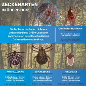 Produktbild für Zeckenzange BluePet Tick Tweezer, 2 Stück