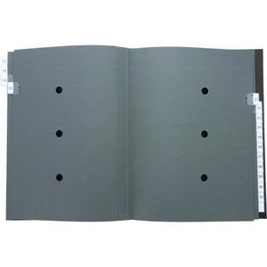 Produktbild für Pultordner Esselte 1114119, A4, 1-31