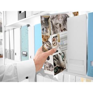 Produktbild für Ordner Herma 7166 Animals, Karton, A4