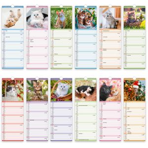 Produktbild für Streifenkalender Trötsch 2027806, Katzen