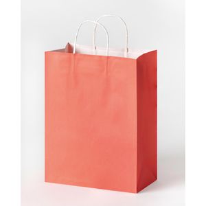 Produktbild für Papiertüten Folia Basic L, 22439, bunt