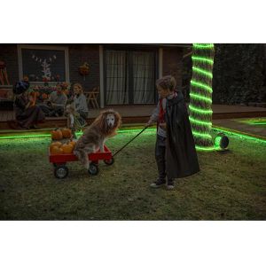 Produktbild für Lichtschlauch OSRAM OUTDOOR FLEX, LED, weiß + farbig