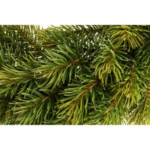 Produktbild für Weihnachtskranz Creativ-green 3016727-00, 56 Triebe, Ø 25 cm