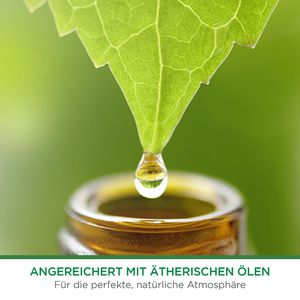 Produktbild für Raumduft Airwick Freshmatic Max, 250 ml