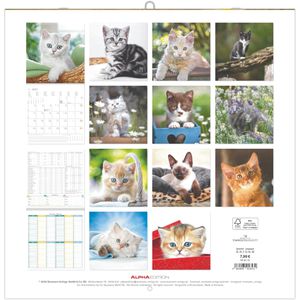Produktbild für Bildkalender Alpha 206601, Katzenbabys, Jahr 2027
