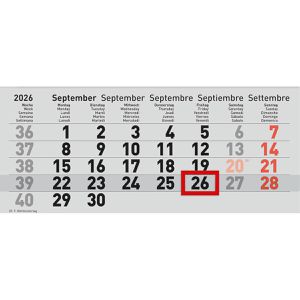 Produktbild für 3-Monatskalender Brunnen 1070210806, grau, mit Ferienübersicht