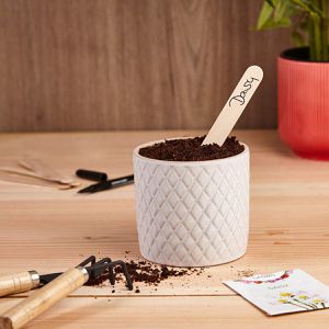 Produktbild für Pflanzenschilder OwnGrown Stecketiketten-Set, braun, Holz