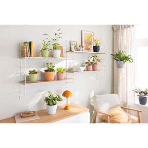 Produktbild für Übertopf Lechuza CLASSICO Color DECO 14, anthrazit, Ø 15x14 cm