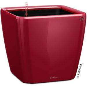 Übertopf Lechuza QUADRO LS 43, rot hochglanz, 43 x 39 x 43 cm