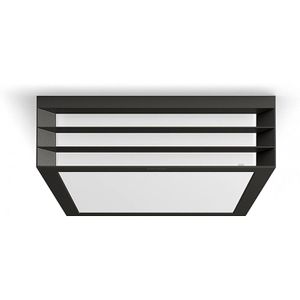 Produktbild für Deckenleuchte Philips Moonshine, anthrazit, 2 x E27-Fassung