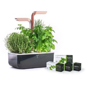 Anzuchtkasten Veritable Smart Copper, 33x18,5x45cm